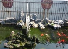台中水池造景,台中魚池造景