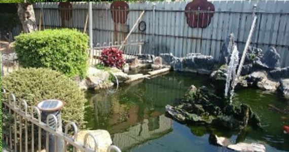 台中水池造景,台中魚池造景