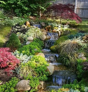 台中水池造景,台中魚池造景