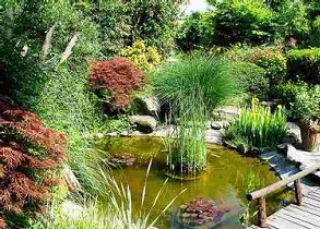 台中水池造景,台中魚池造景